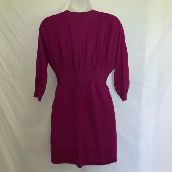 Express Dress - Picture 3 of 3